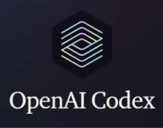 OpenAI Codex