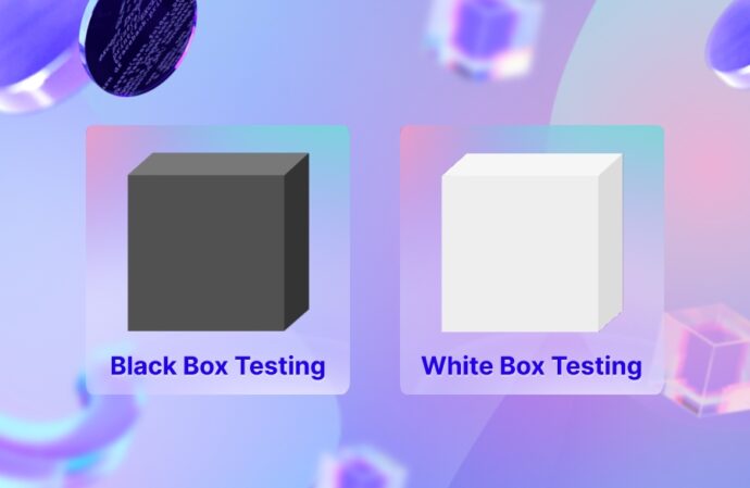 Understanding the Difference Between Black Box and White Box Testing